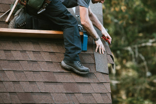 Best Metal Roofing Contractor  in Clifton, CO